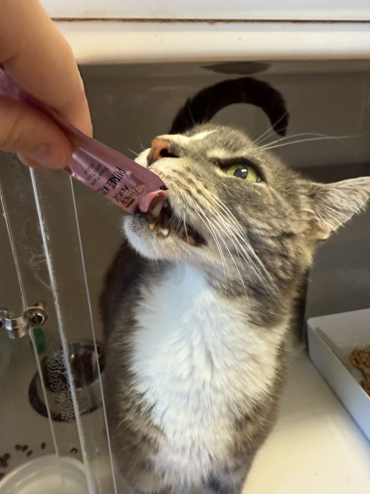 Gallery image: Magic Mike