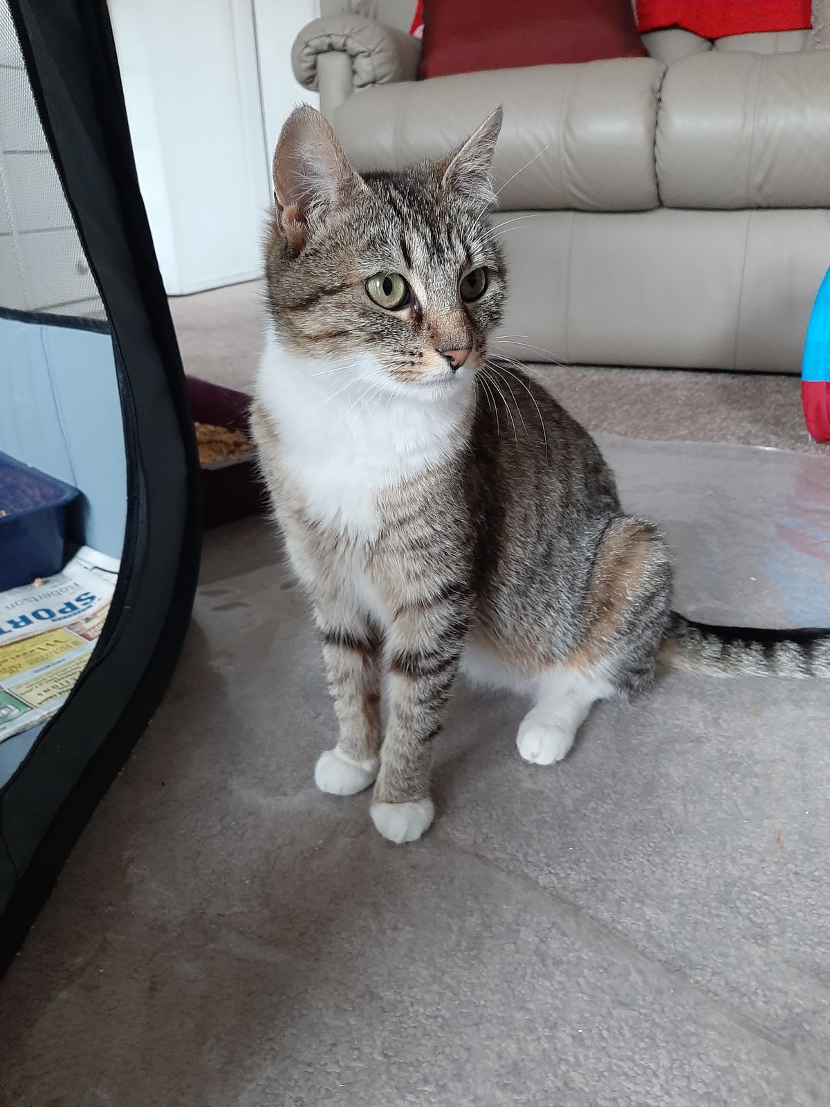 Gallery image: Aquarius