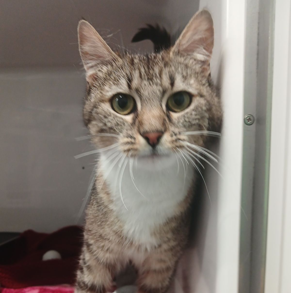 Gallery image: Aquarius