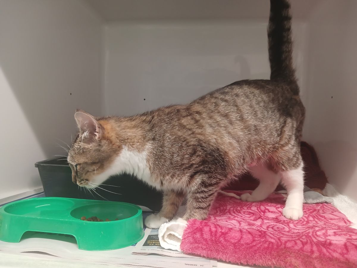 Gallery image: Aquarius