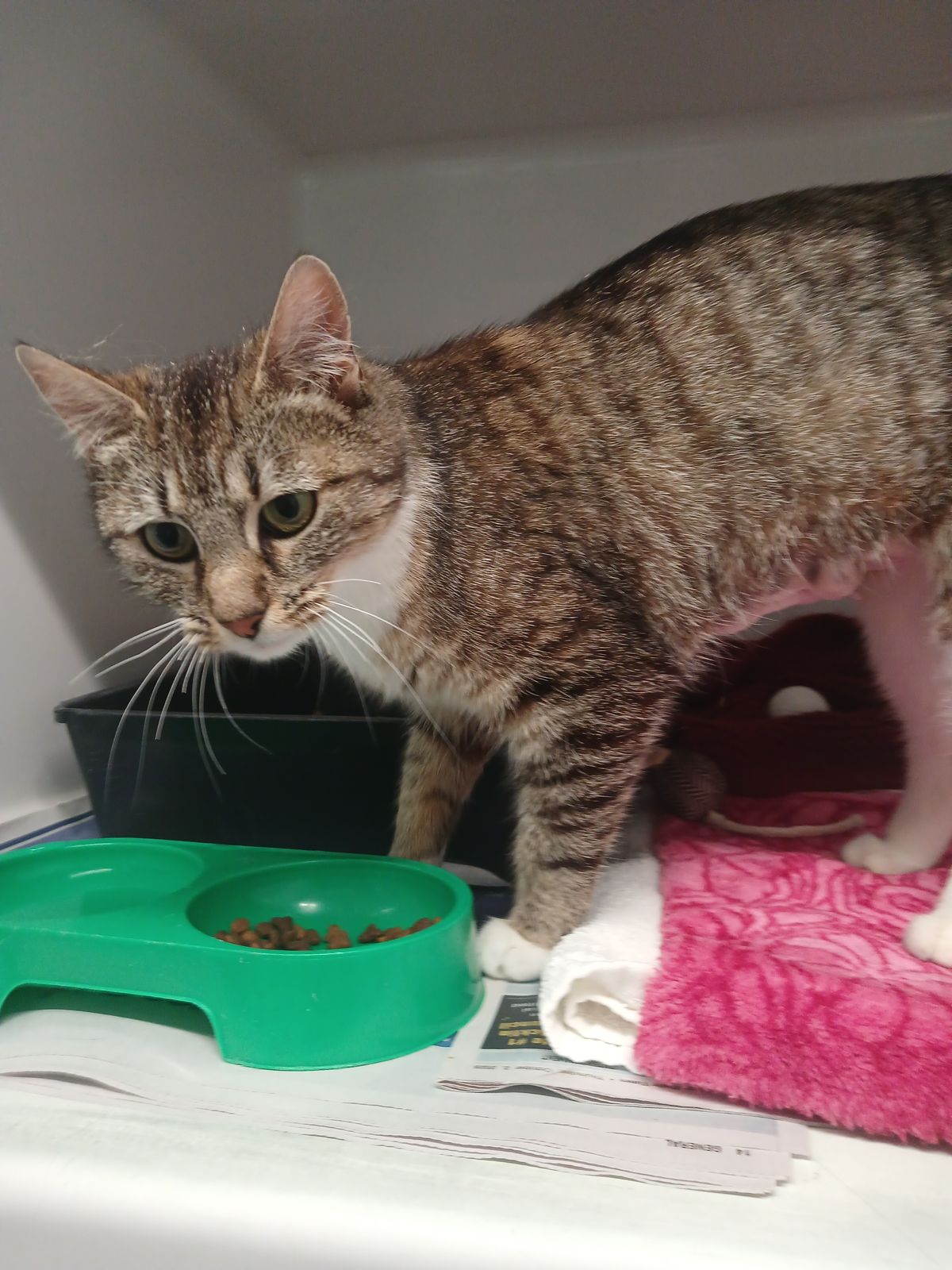 Gallery image: Aquarius