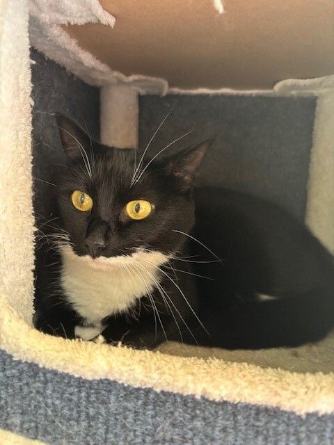 Gallery image: Beetroot