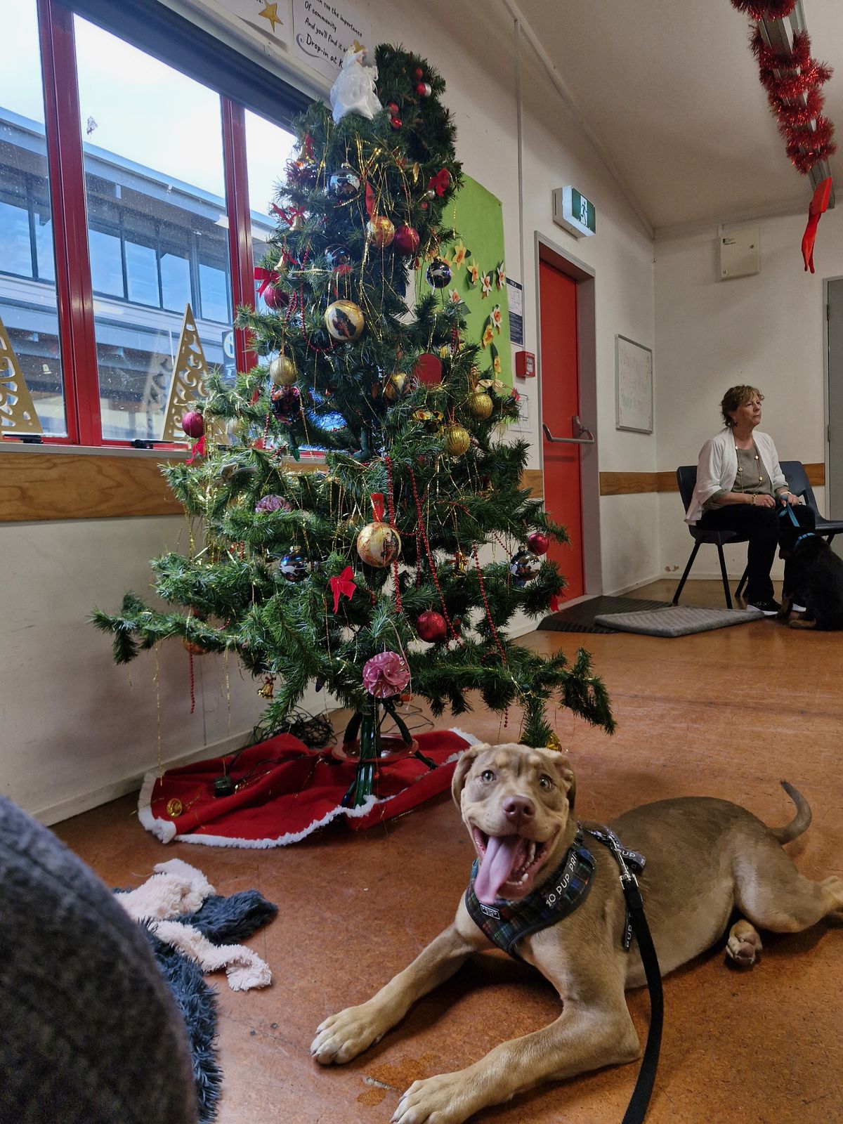 Gallery image: Frodo