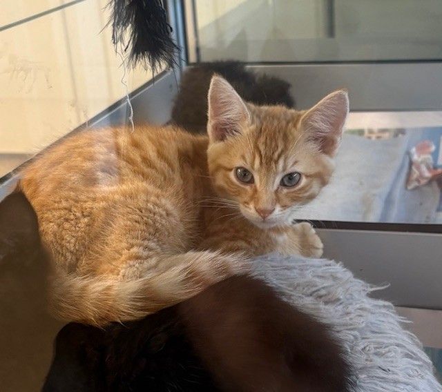 Gallery image: Maverick