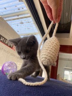 Gallery image: Sally