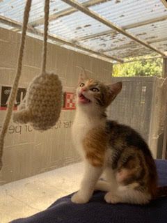 Gallery image: Kylee