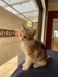 Gallery image: Kylee