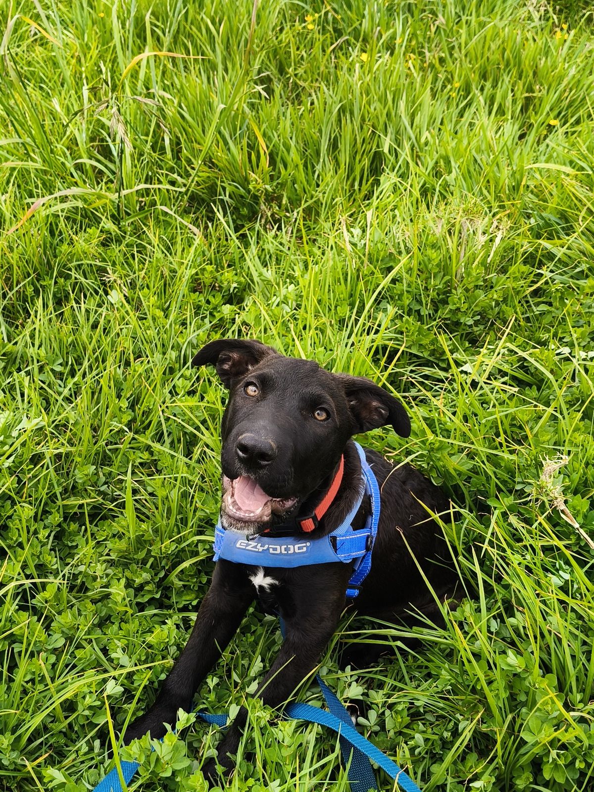 Gallery image: Maggie