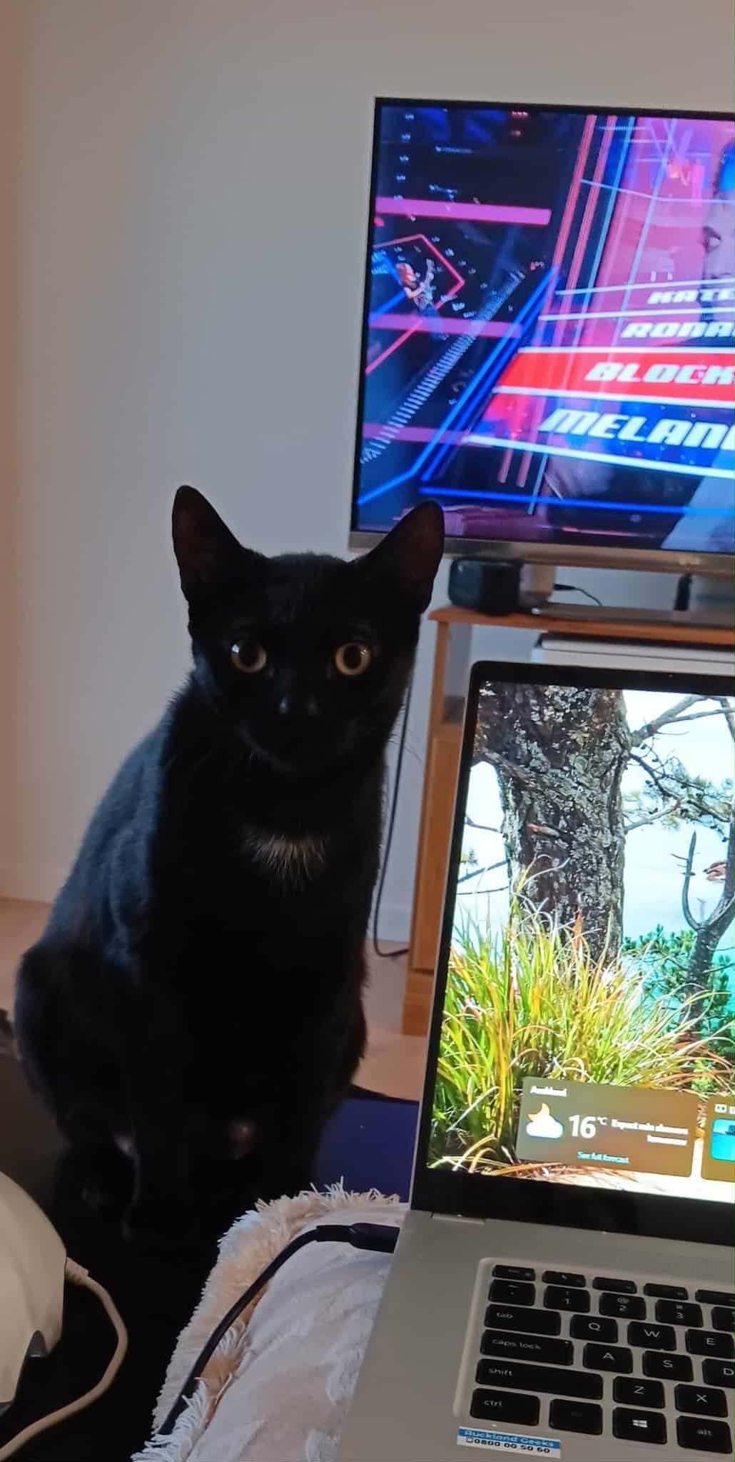 Gallery image: Sophie