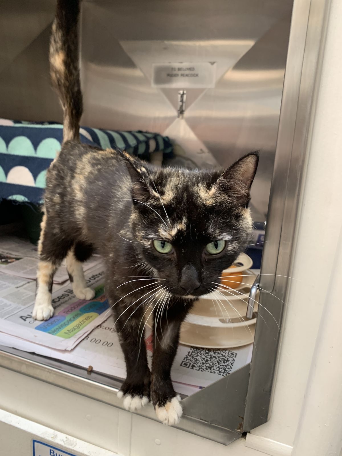 Gallery image: Magic