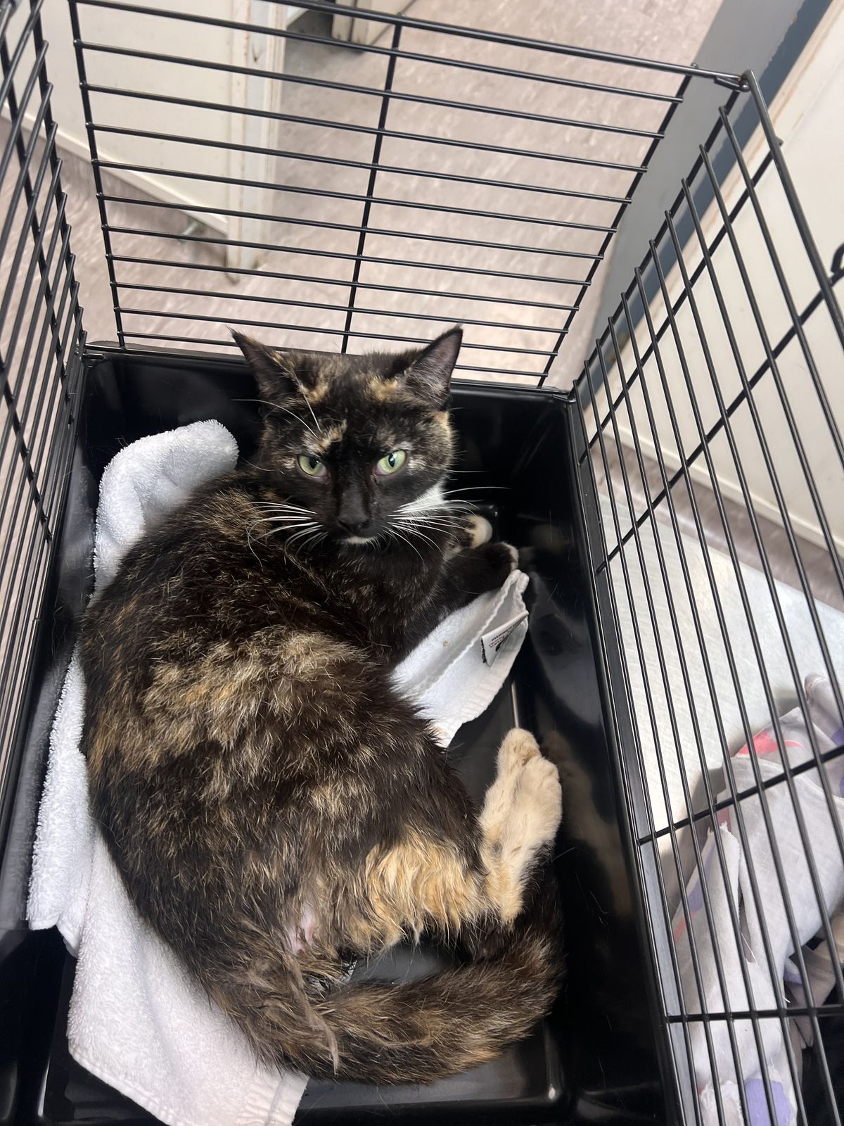 Gallery image: Magic