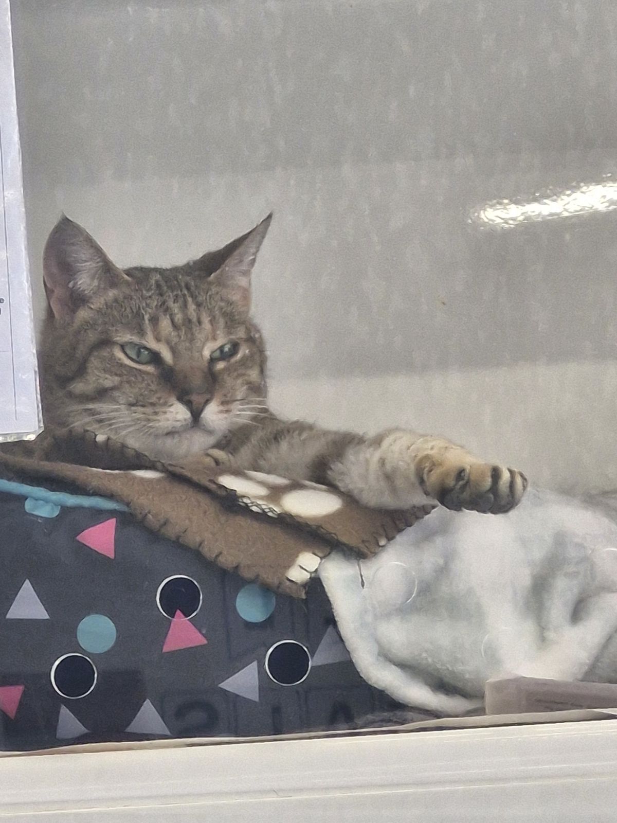 Gallery image: Honey