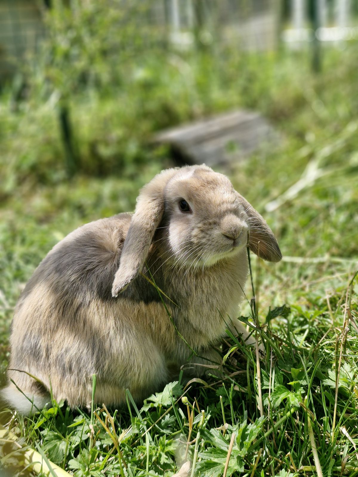 Gallery image: Thunder