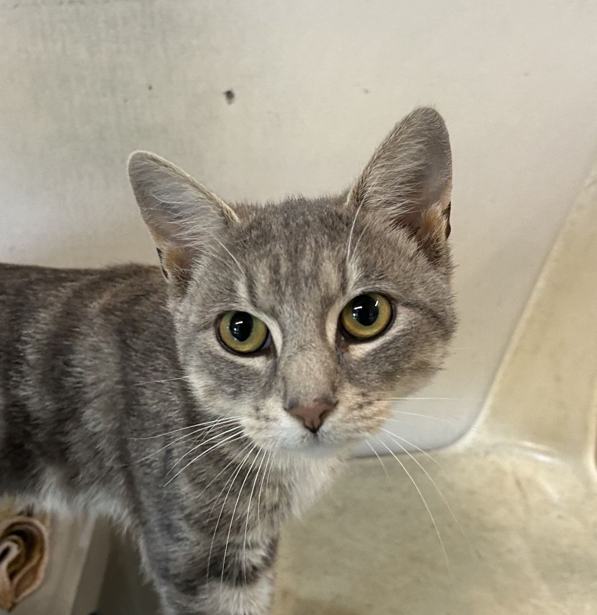 Gallery image: Matty