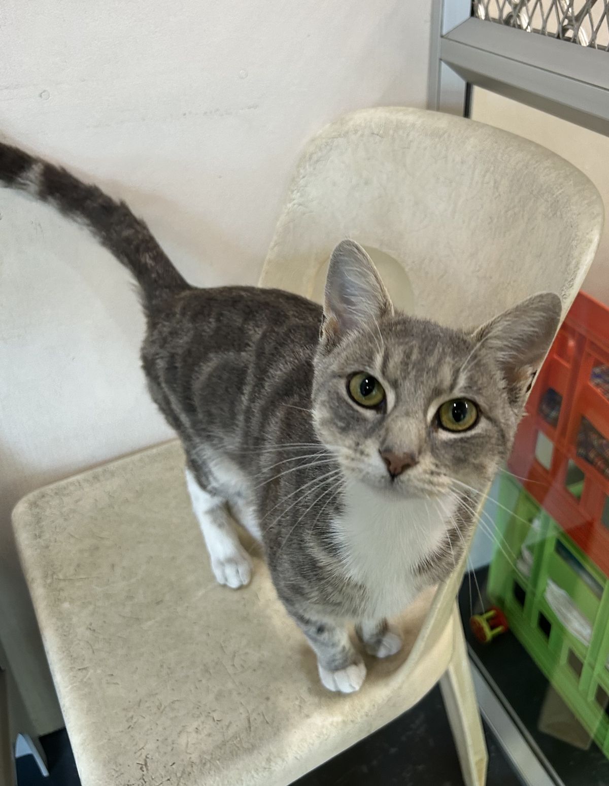 Gallery image: Matty