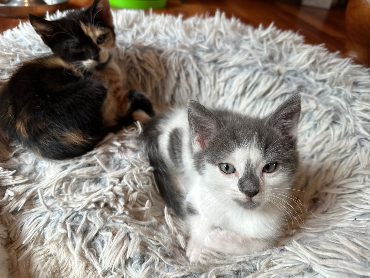 Gallery image: Spring