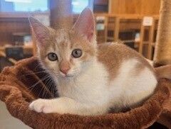 Gallery image: Ernie