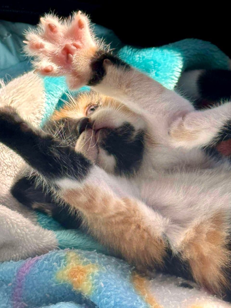 Gallery image: Autumn