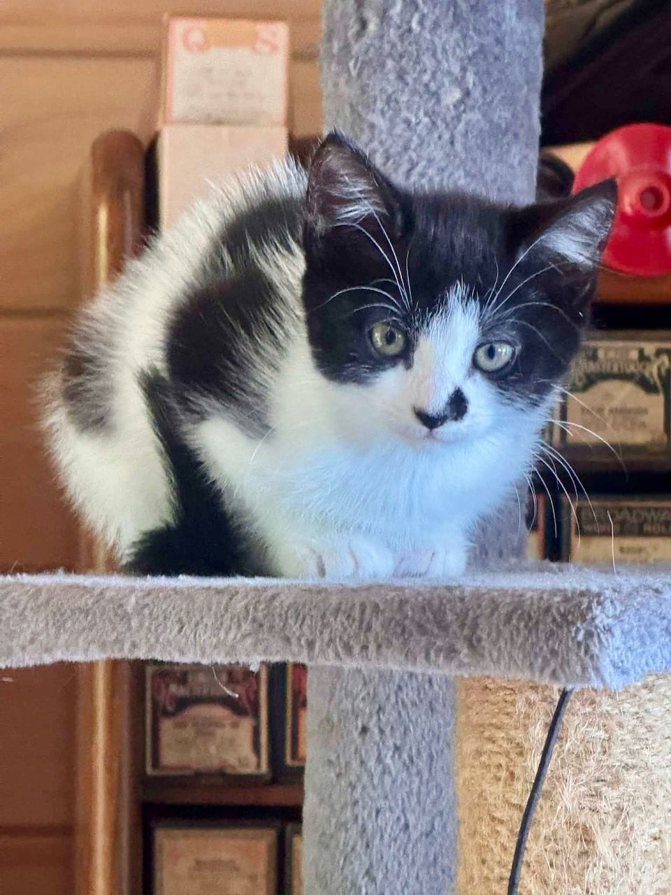 Gallery image: Summer