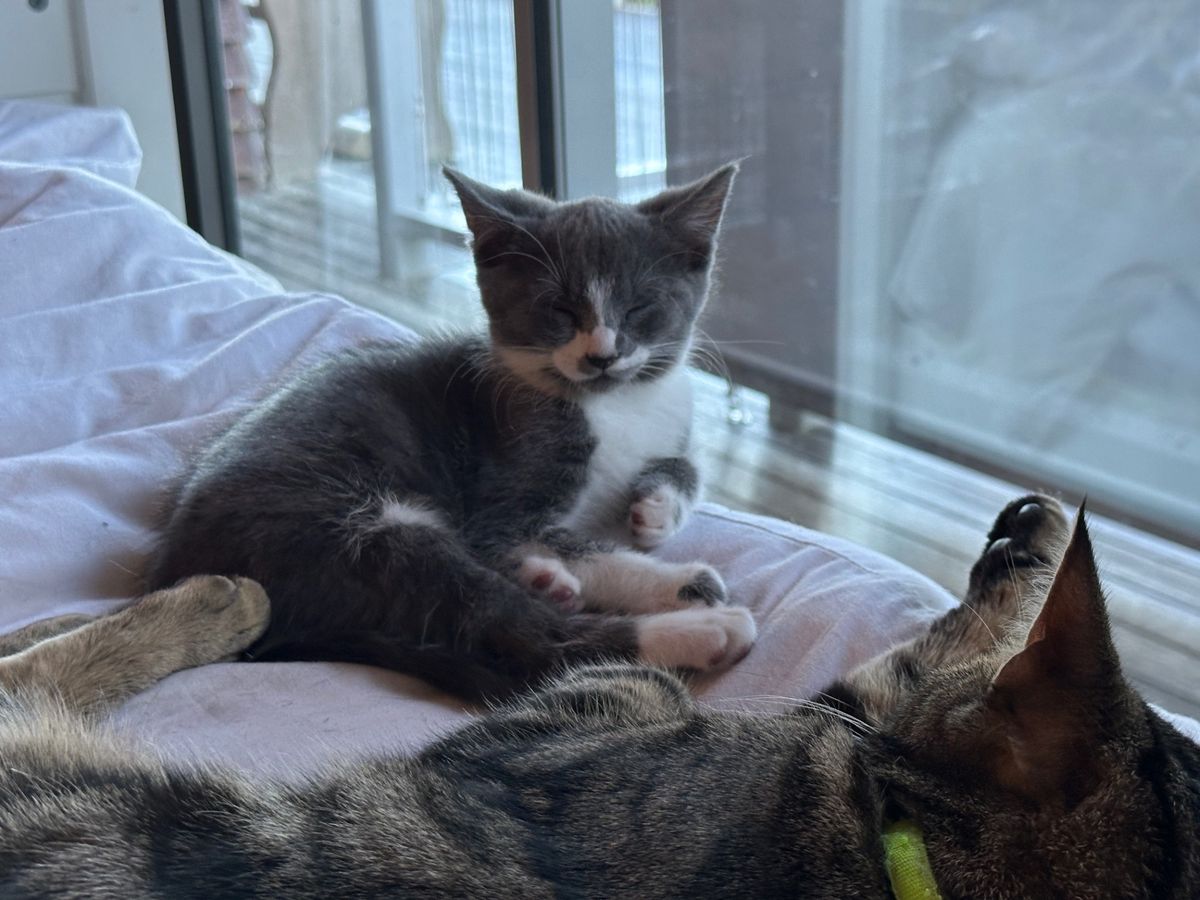 Gallery image: Winter