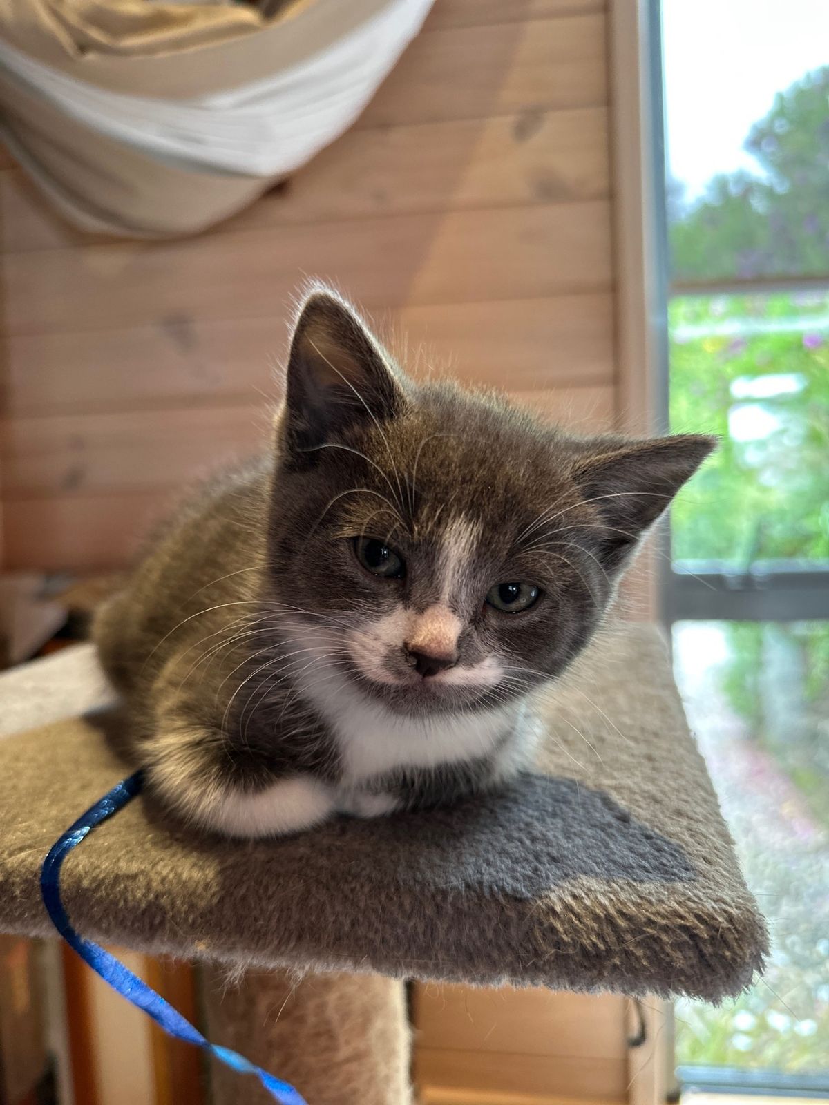 Gallery image: Winter