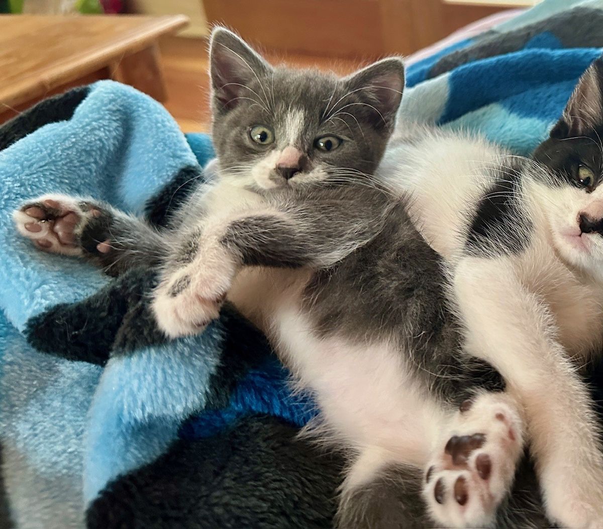 Gallery image: Winter