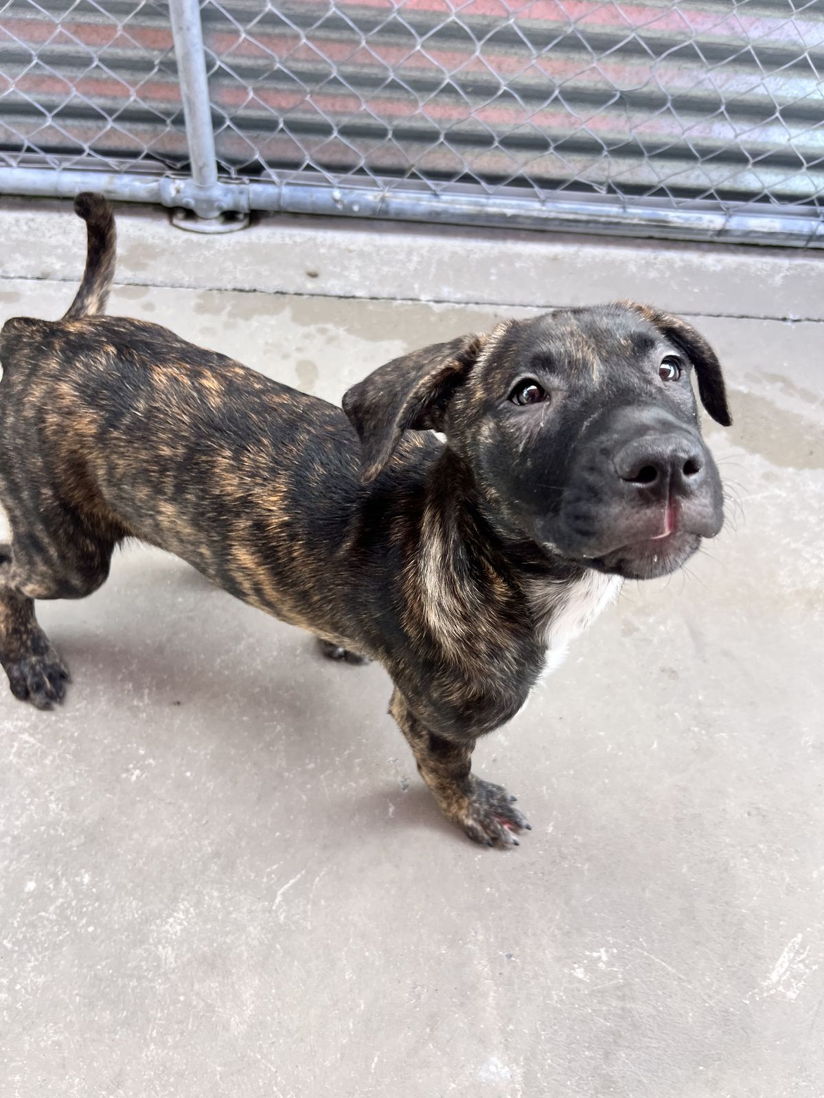 Gallery image: Frosty