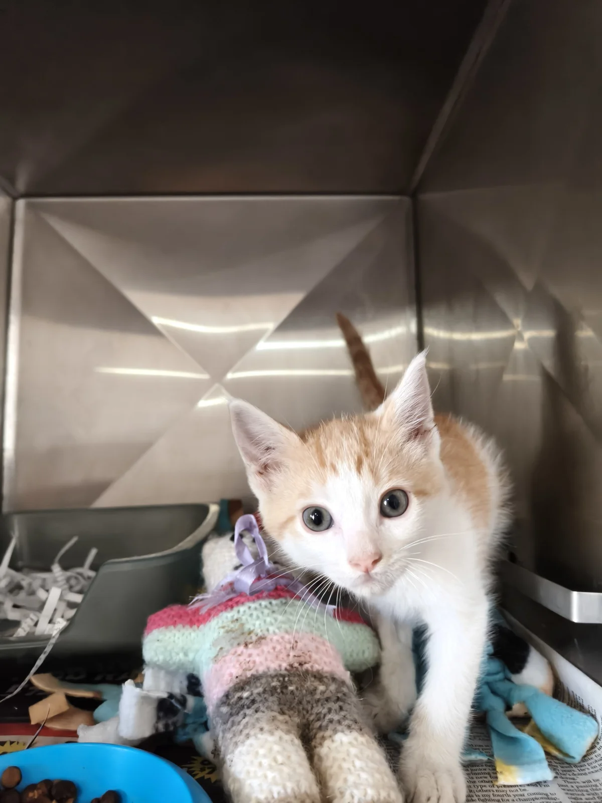 Gallery image: Wendell