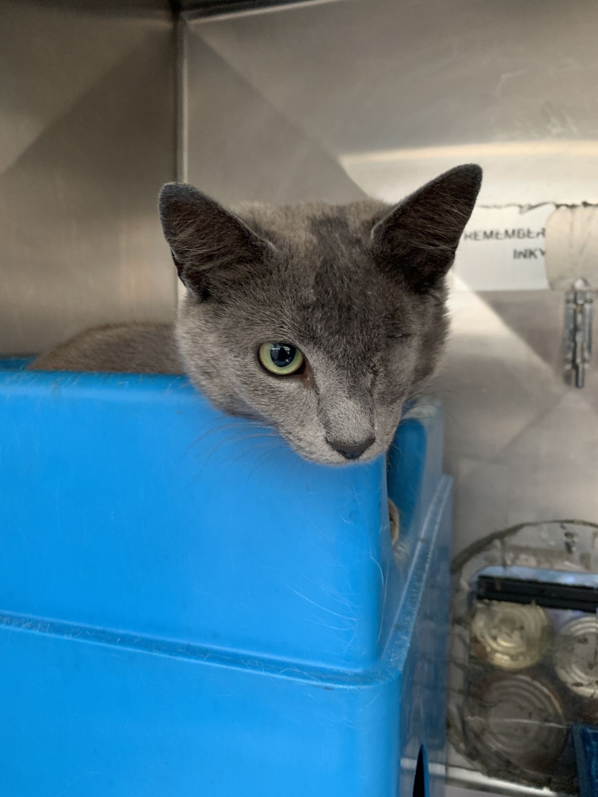 Gallery image: Trinity 