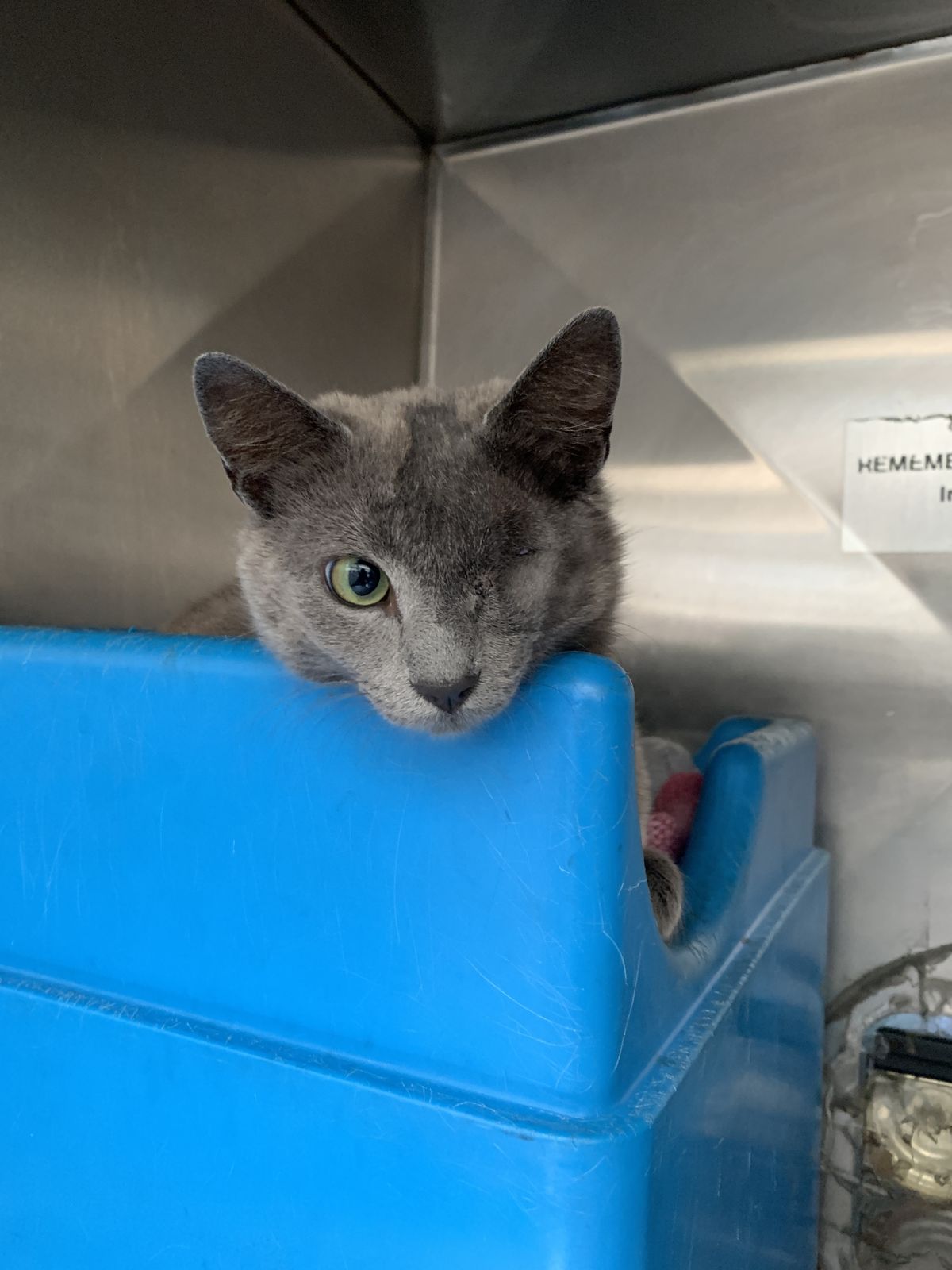 Gallery image: Trinity 