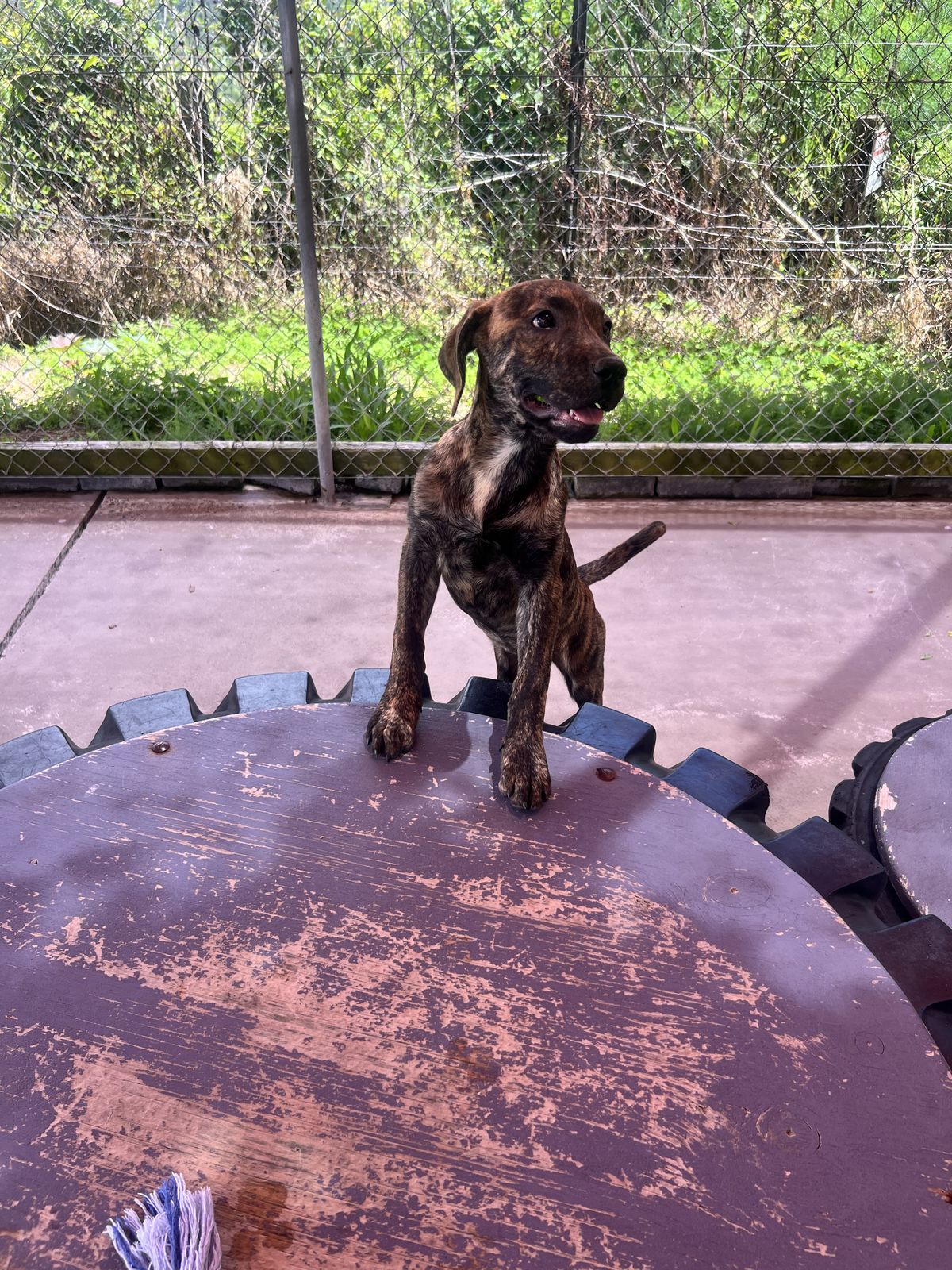 Gallery image: Candy