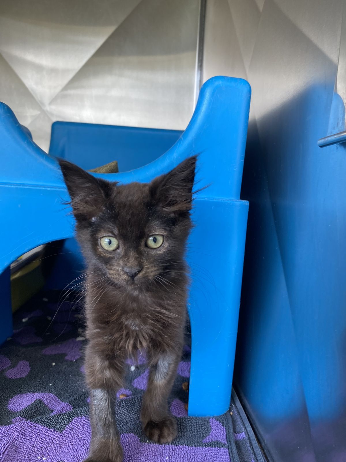 Gallery image: Mr. Tweedy