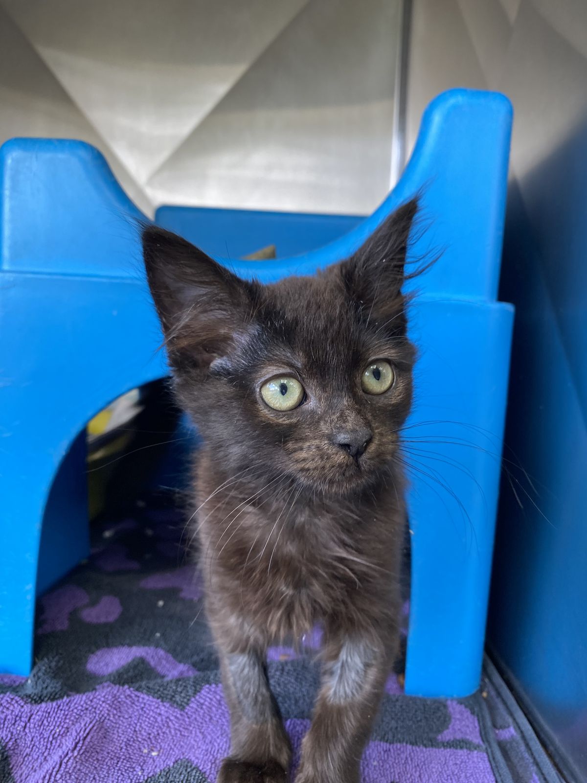 Gallery image: Mr. Tweedy