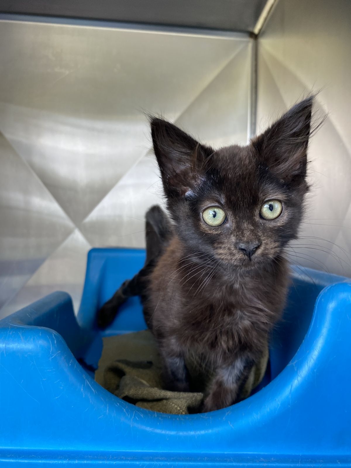 Gallery image: Mr. Tweedy