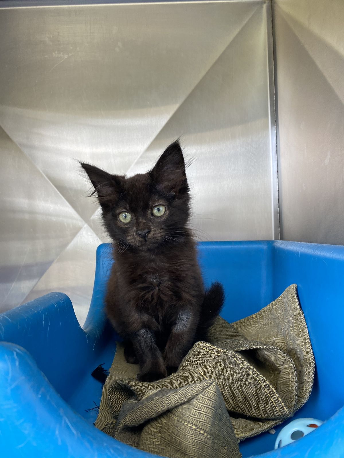 Gallery image: Mr. Tweedy