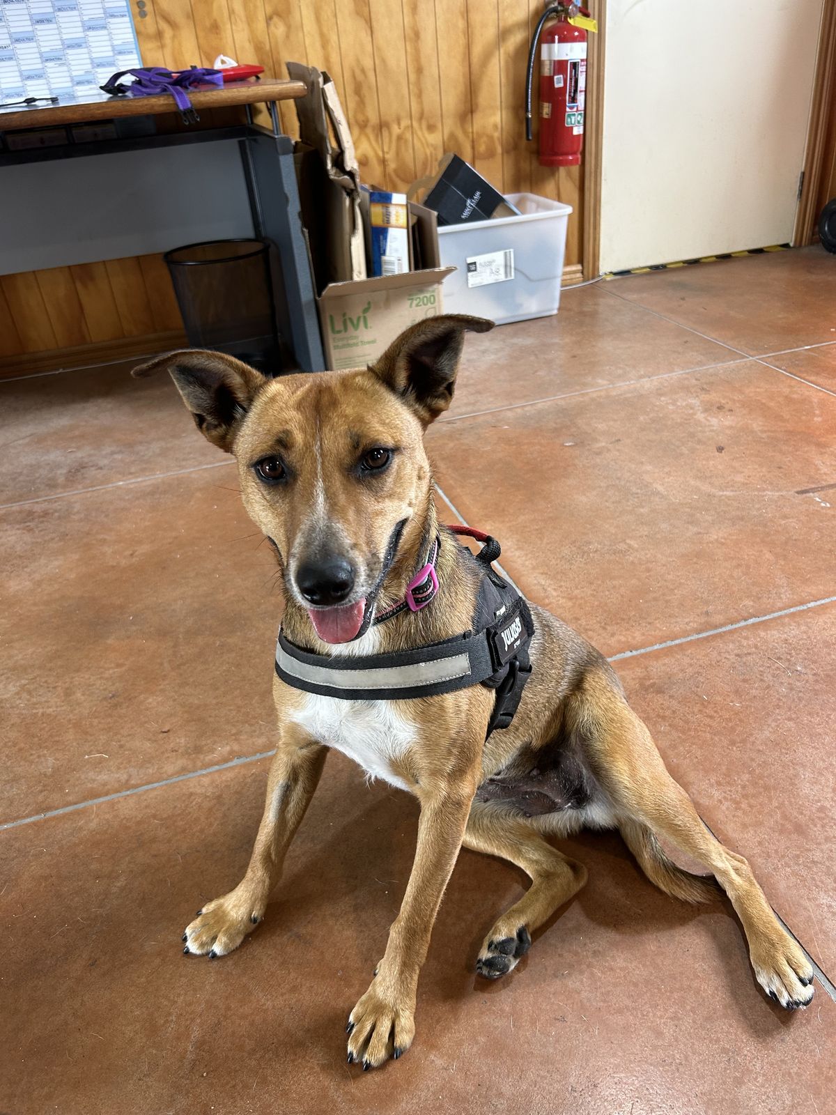 Gallery image: Tilly