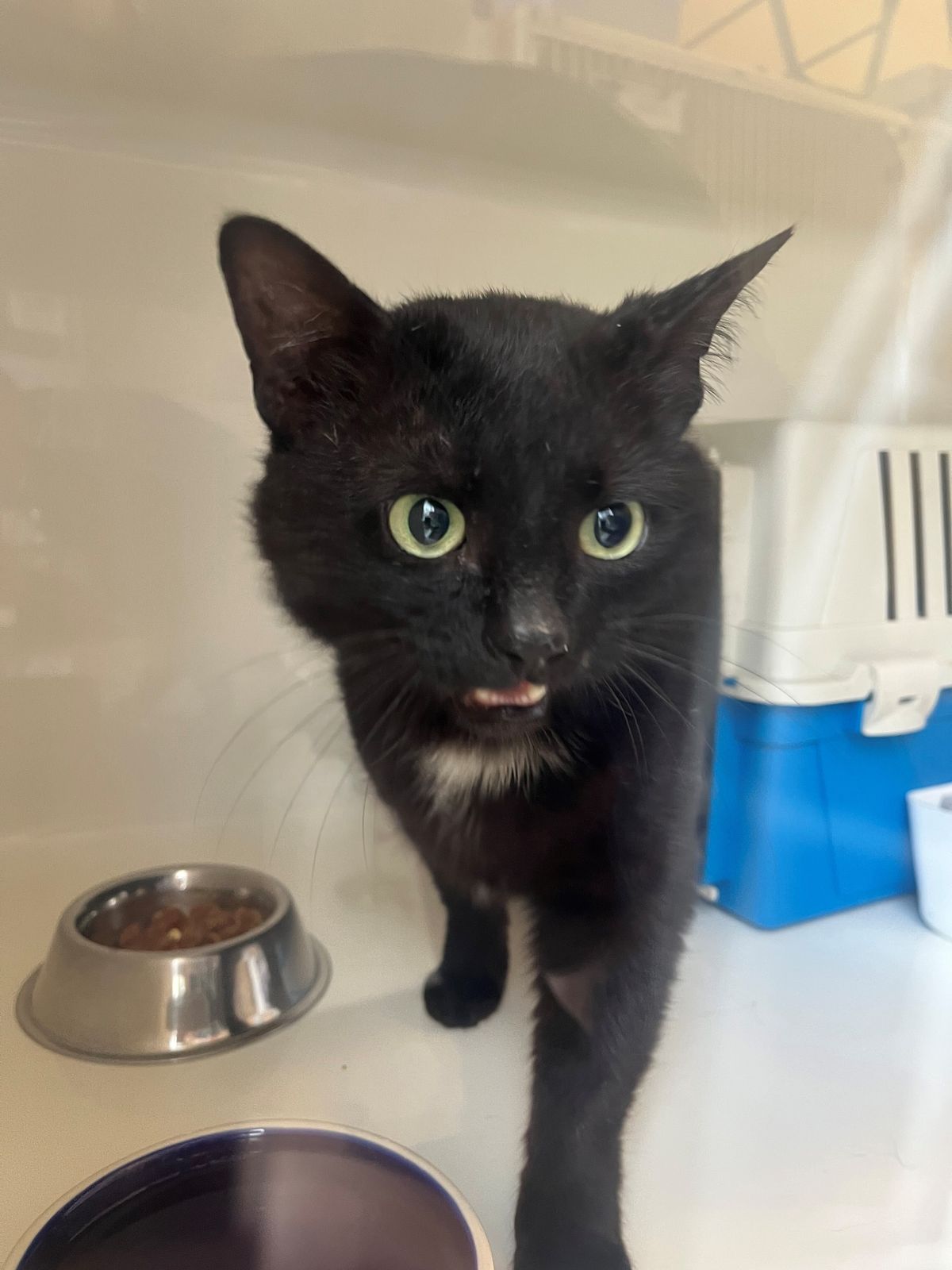 Gallery image: George Clooney