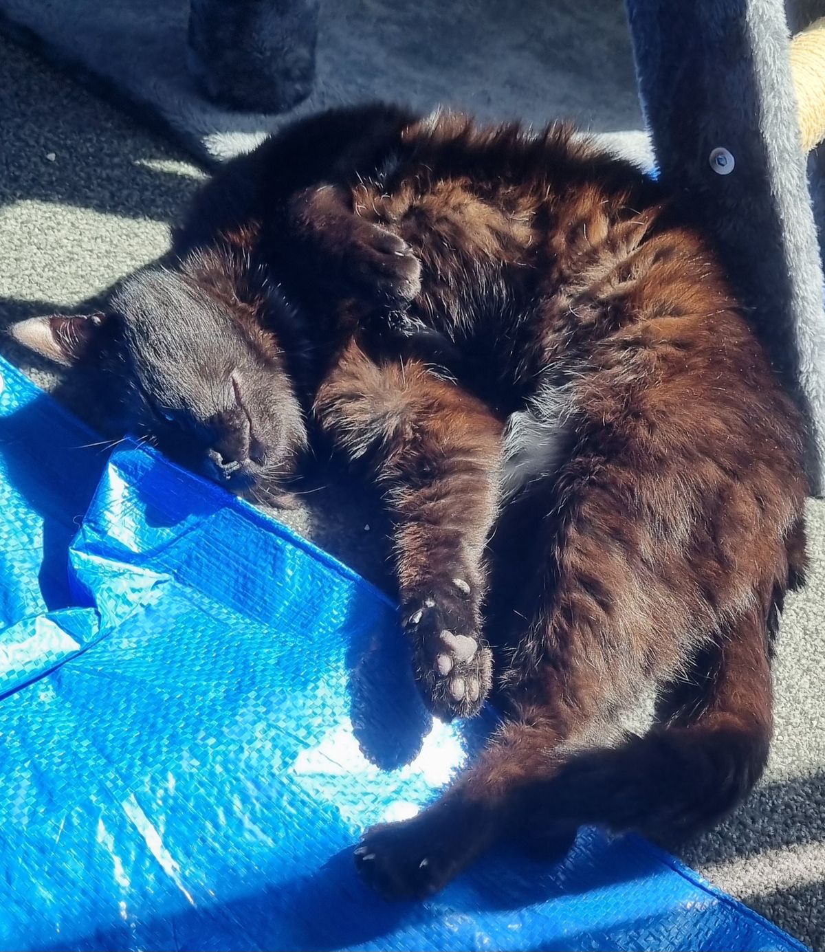 Gallery image: George Clooney