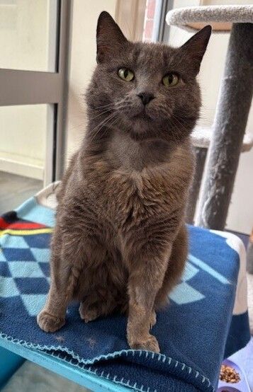 Gallery image: Sasha