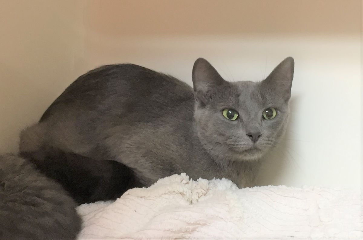 Gallery image: Sasha