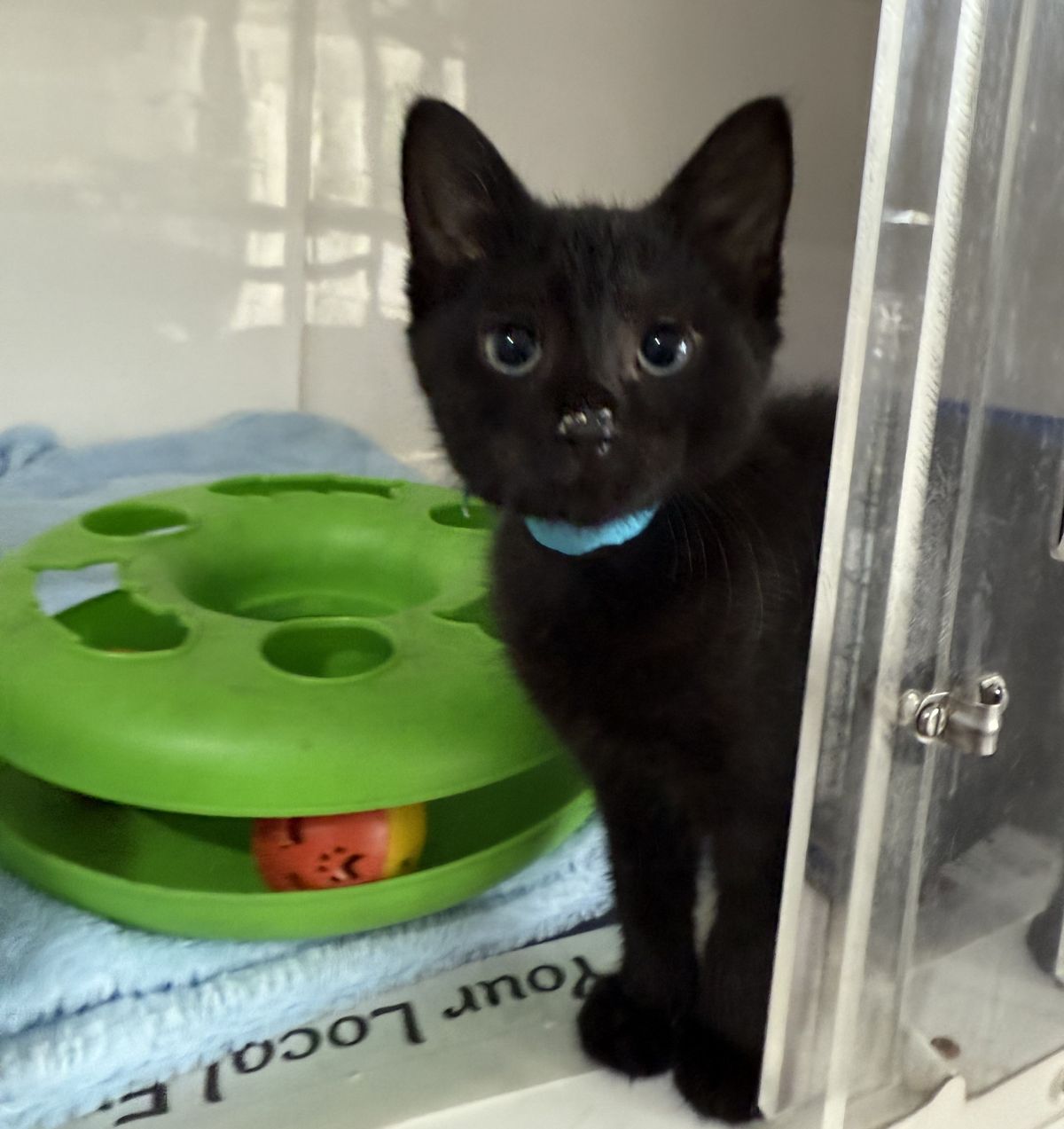 Gallery image: Betty 