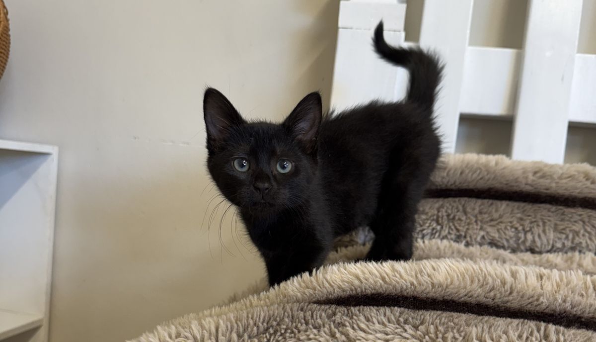 Gallery image: Betty 