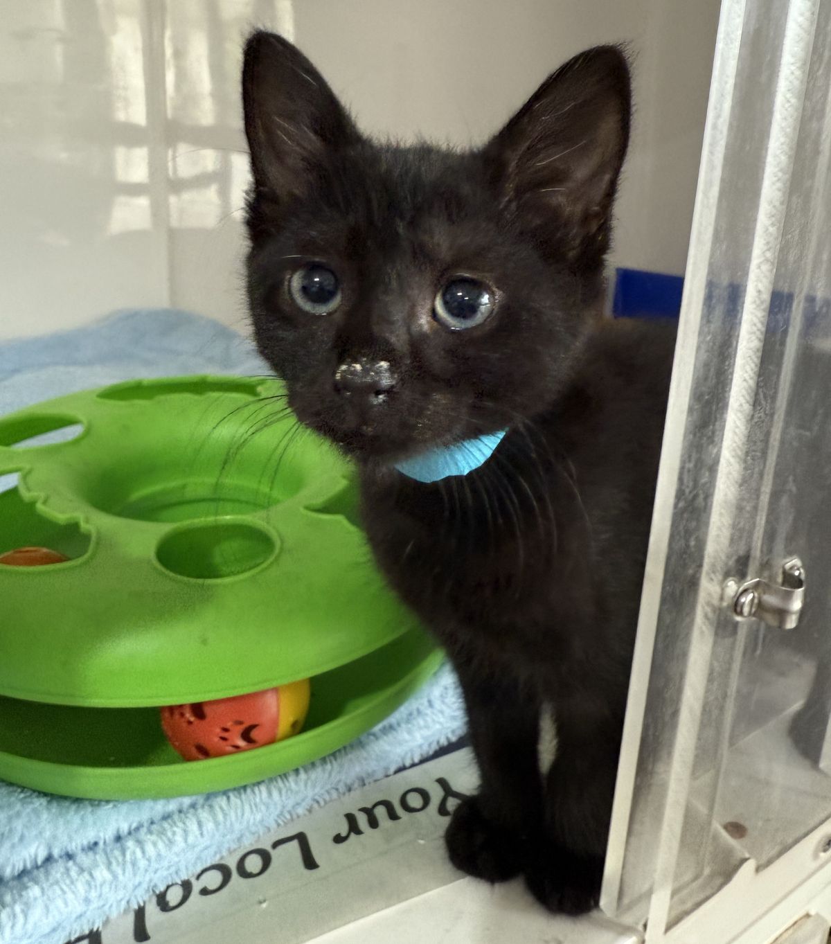 Gallery image: Betty 