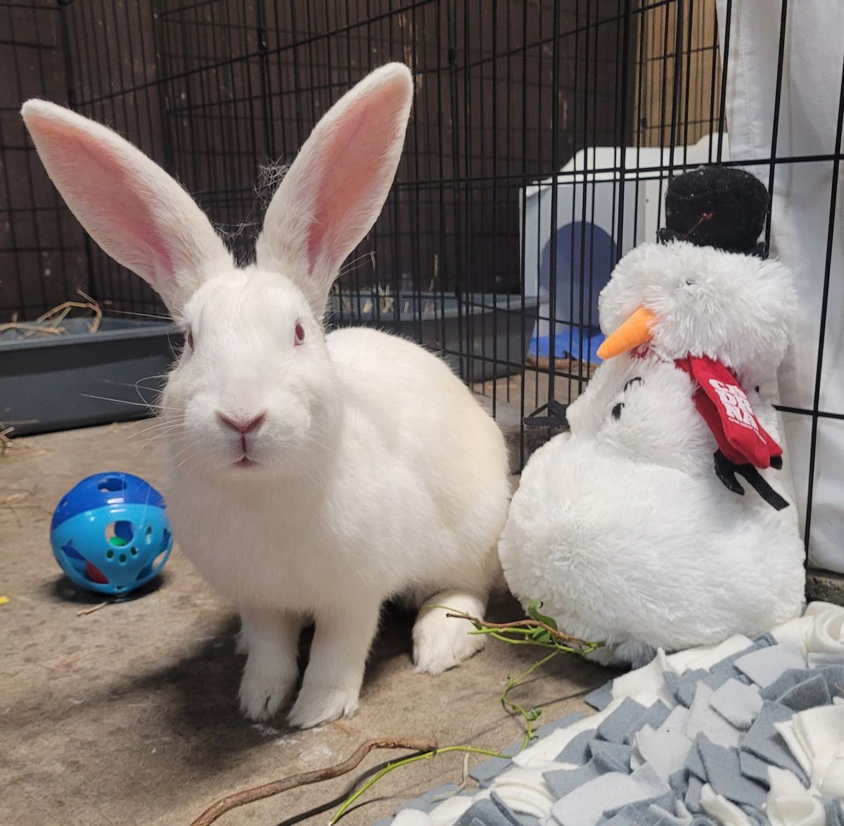 Gallery image: Serenity