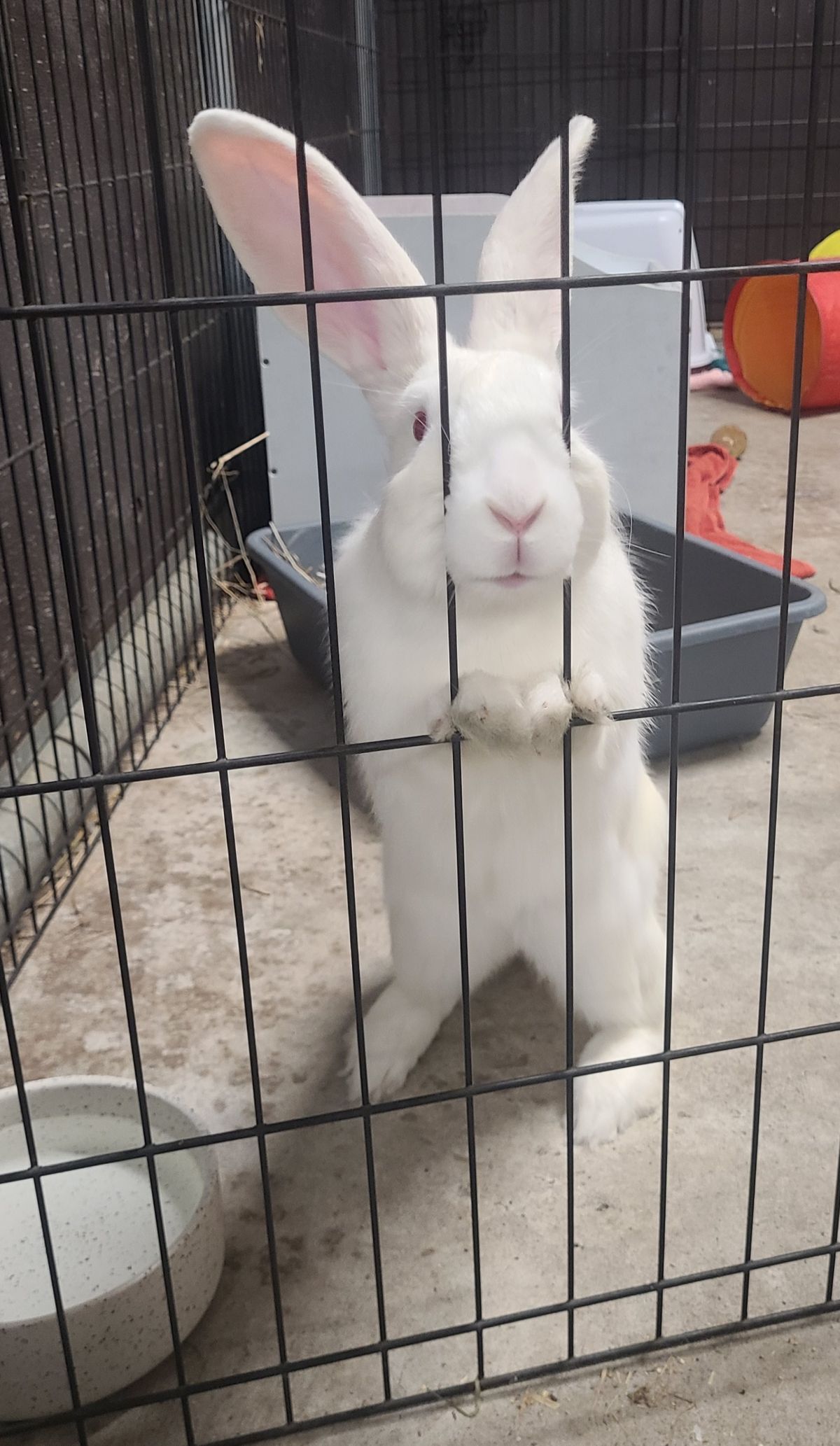 Gallery image: Serenity