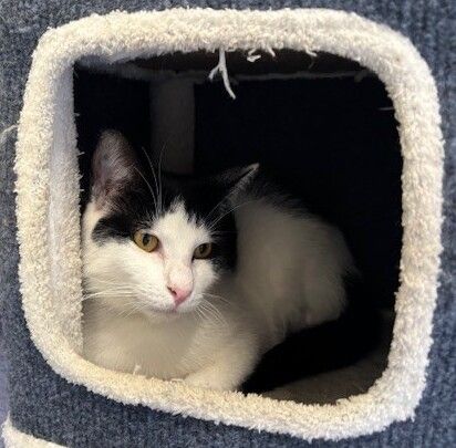 Gallery image: Timmy