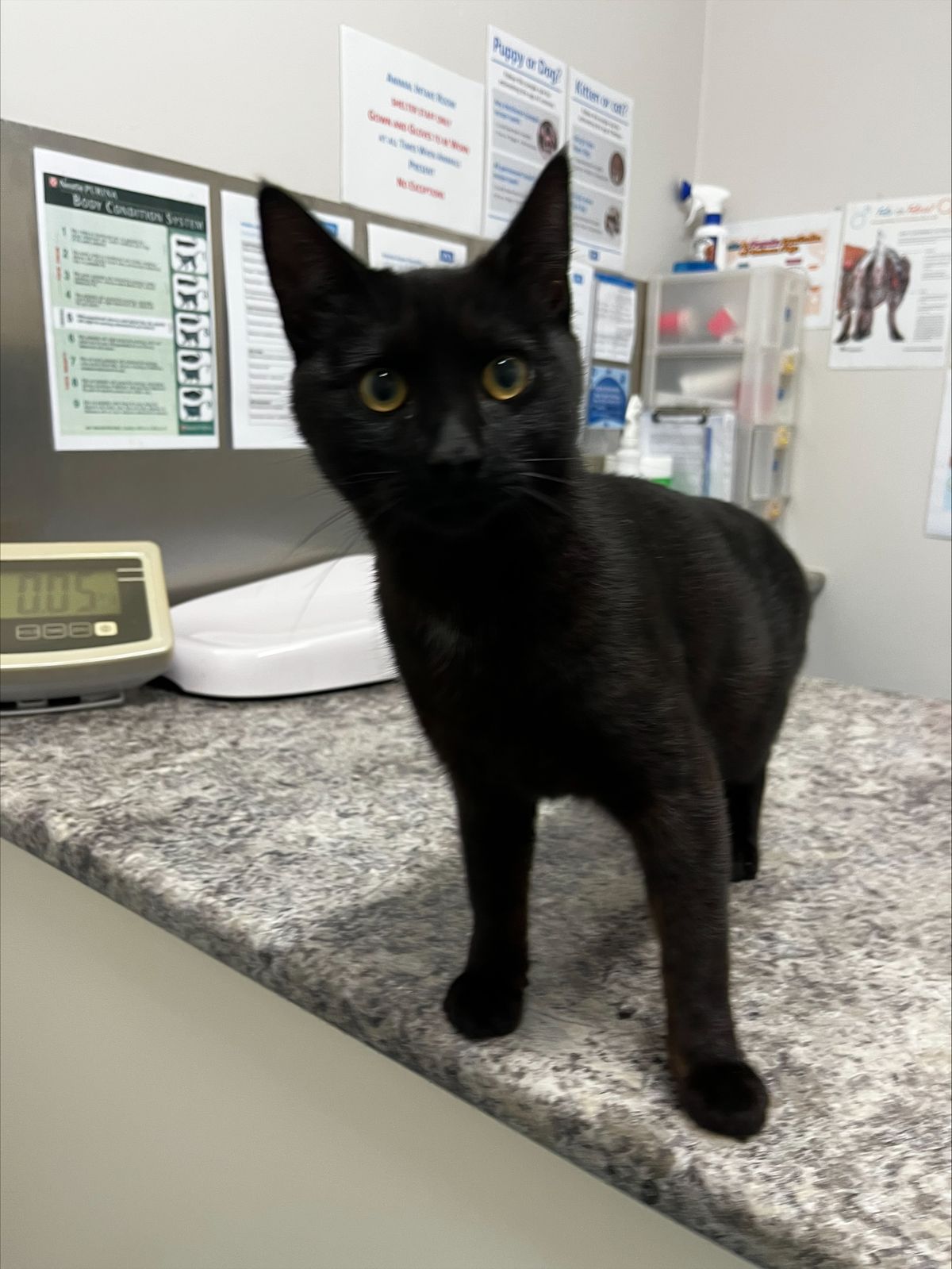 Gallery image: Julian