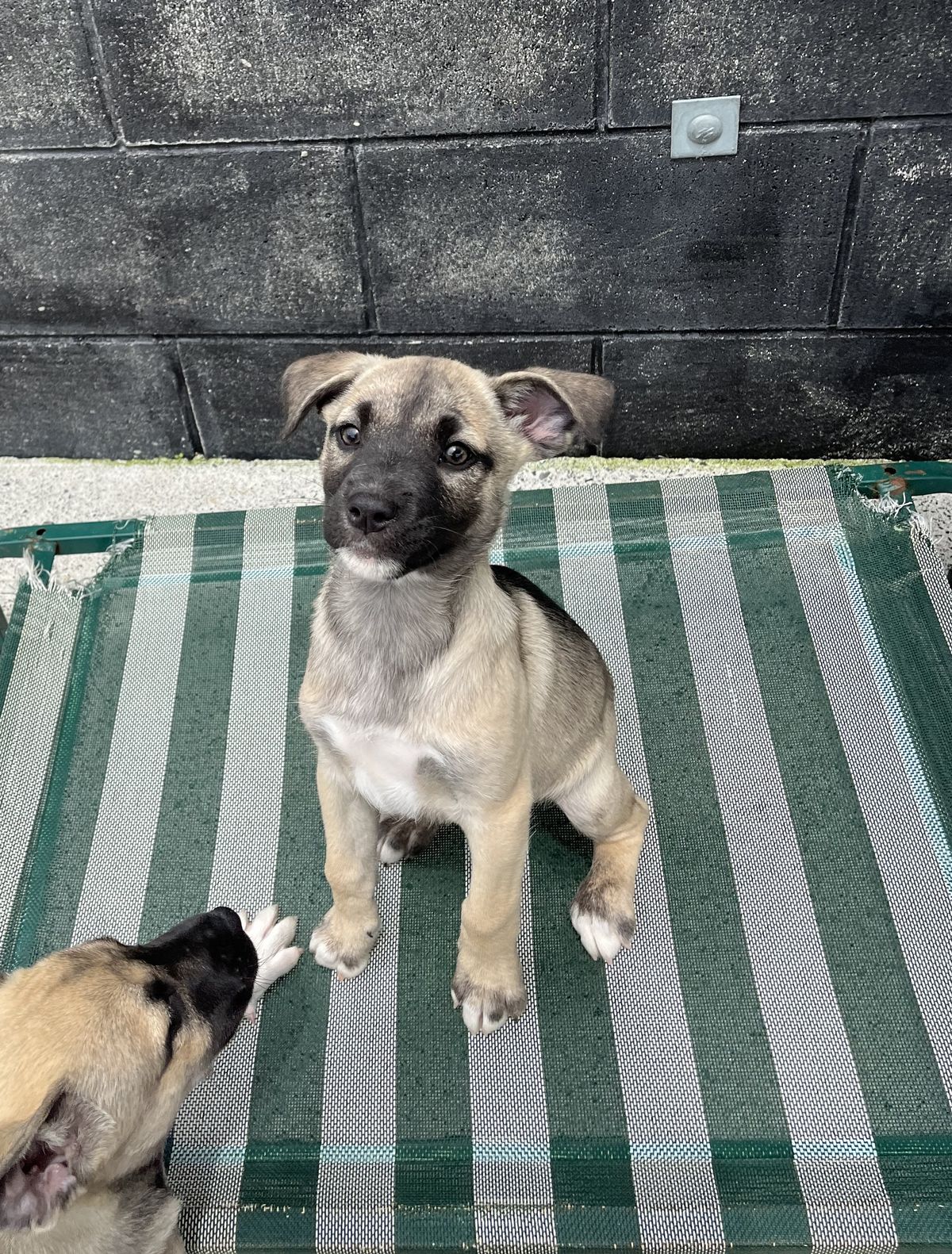 Gallery image: Dancer