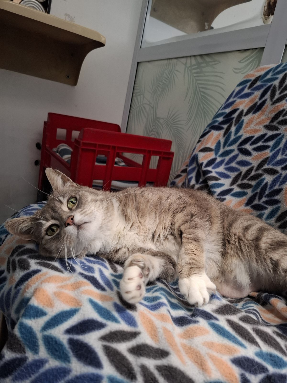 Gallery image: Prudence 