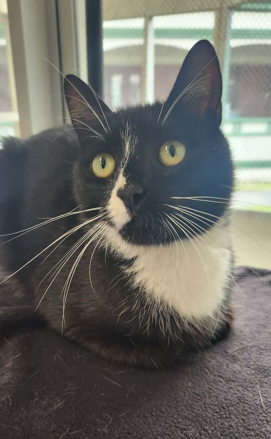 Gallery image: Alan Watts